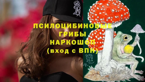 ECSTASY Беломорск