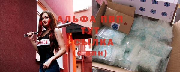 амф Белокуриха