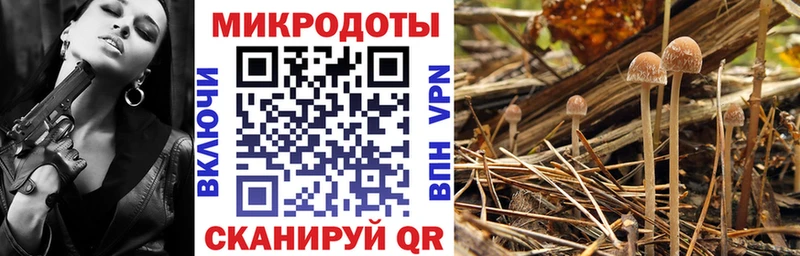 наркошоп  Харовск  Галлюциногенные грибы прущие грибы 